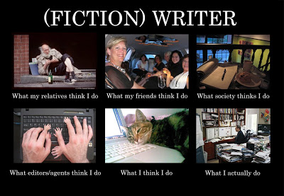 fiction writer what they think i do