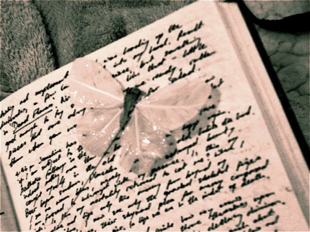 butterfly book