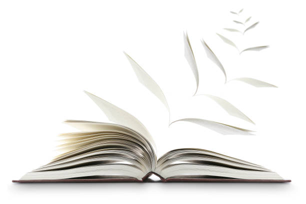 book flying pages