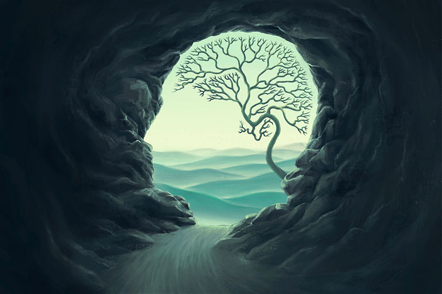 optical illusion face cave brain