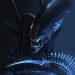 xenomorph alien