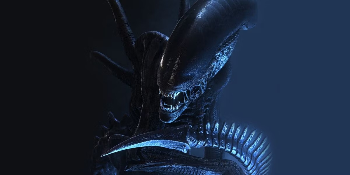 xenomorph alien