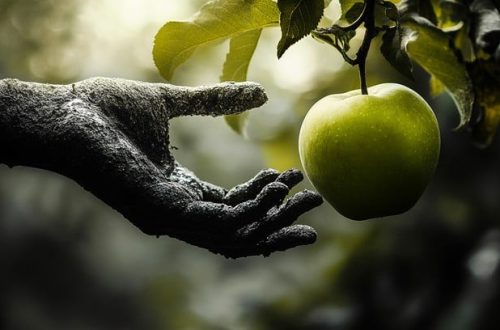 hand apple grab